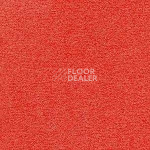 Ковролин Radici Nexus Corallo 8237 фото 1 | FLOORDEALER